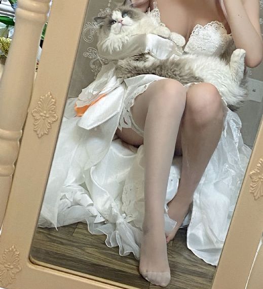 间谍过家家第二季_BD英语全集在线观看