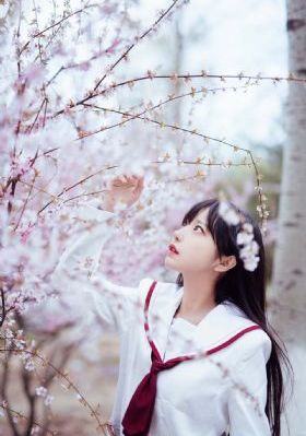 荒岛求生电影完整版_1080P免费播放